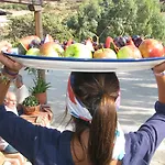 Ξενοδοχείο Aigis Kea