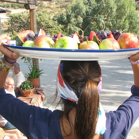 Отель Aigis Kea